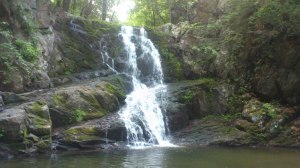 On some days, the retreat began with an early morning  meditation at a nearby waterfall.  There was the option to swim in the waters too: a refreshing way to begin the day.